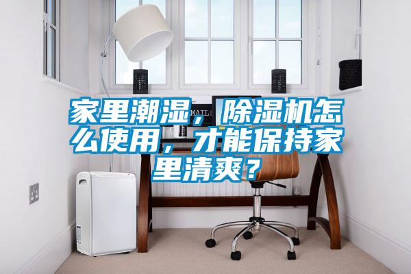 家里潮濕,除濕機怎么使用,才能保持家里清爽?