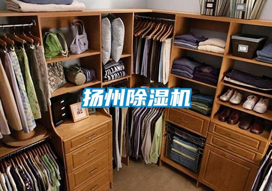 揚州除濕機