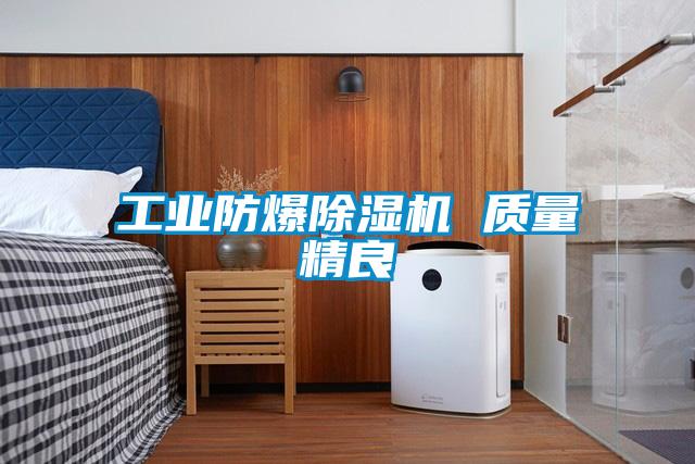 工業(yè)防爆除濕機(jī) 質(zhì)量精良