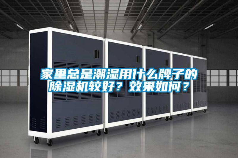 家里總是潮濕用什么牌子的除濕機較好?效果如何?