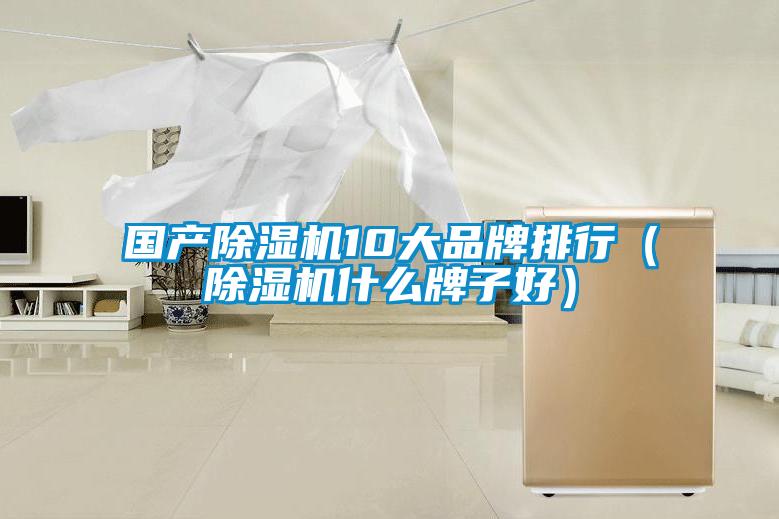 國產除濕機10大品牌排行(除濕機什么牌子好)
