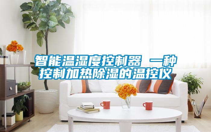 智能溫濕度控制器 一種控制加熱除濕的溫控儀
