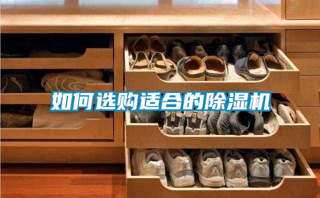 如何選購適合的除濕機(jī)