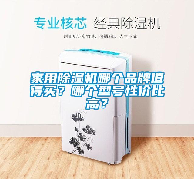 家用除濕機哪個品牌值得買?哪個型號性價比高?