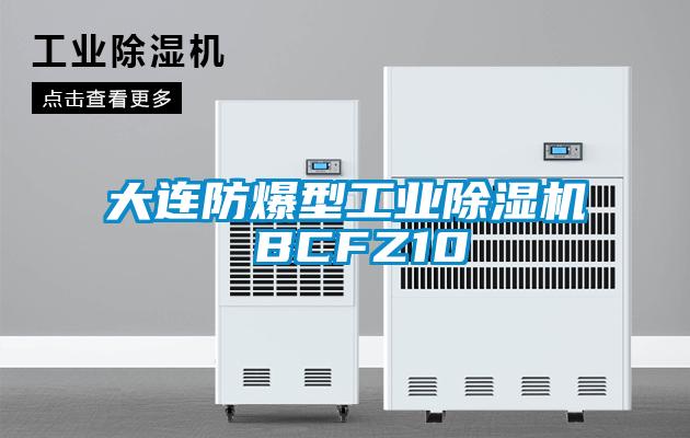 大連防爆型工業(yè)除濕機 BCFZ10