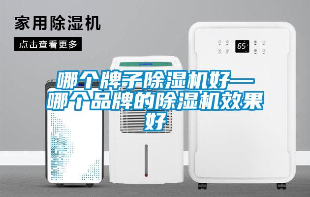 哪個牌子除濕機好—哪個品牌的除濕機效果好