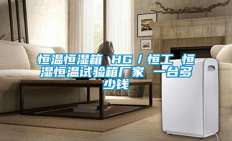 恒溫恒濕箱 HG/恒工 恒濕恒溫試驗箱廠家 一臺多少錢