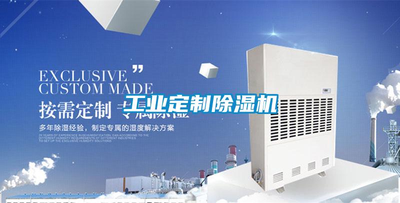 工業定制除濕機