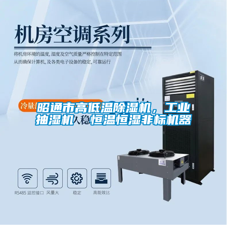 昭通市高低溫除濕機,工業抽濕機 恒溫恒濕非標機器