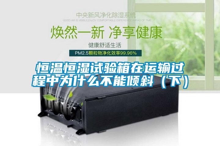 恒溫恒濕試驗箱在運輸過程中為什么不能傾斜(下)