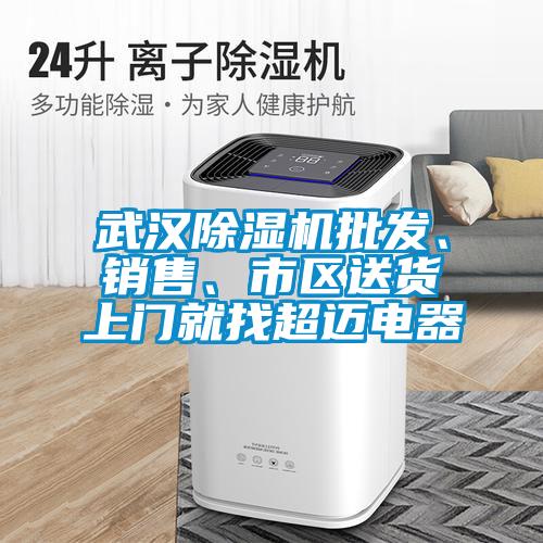 武漢除濕機(jī)批發(fā)、銷售、市區(qū)送貨上門就找超邁電器