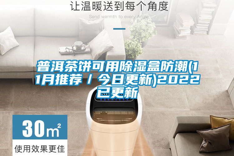 普洱茶餅可用除濕盒防潮(11月推薦/今日更新)2022已更新