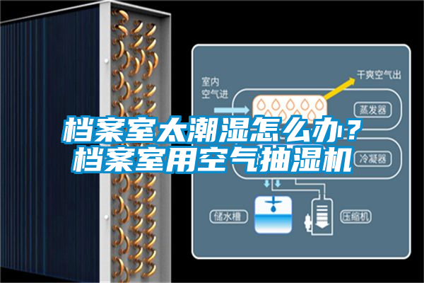 檔案室太潮濕怎么辦?檔案室用空氣抽濕機