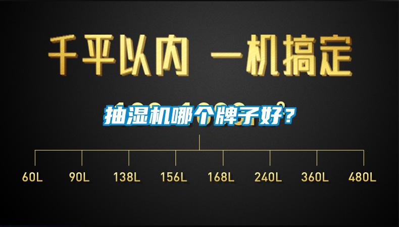 抽濕機哪個牌子好?