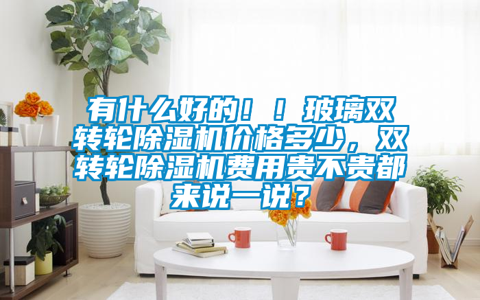 有什么好的??！玻璃雙轉(zhuǎn)輪除濕機價格多少，雙轉(zhuǎn)輪除濕機費用貴不貴都來說一說？