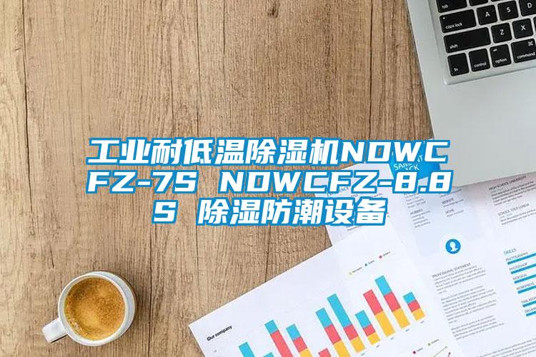 工業(yè)耐低溫除濕機(jī)NDWCFZ-7S NDWCFZ-8.8S 除濕防潮設(shè)備