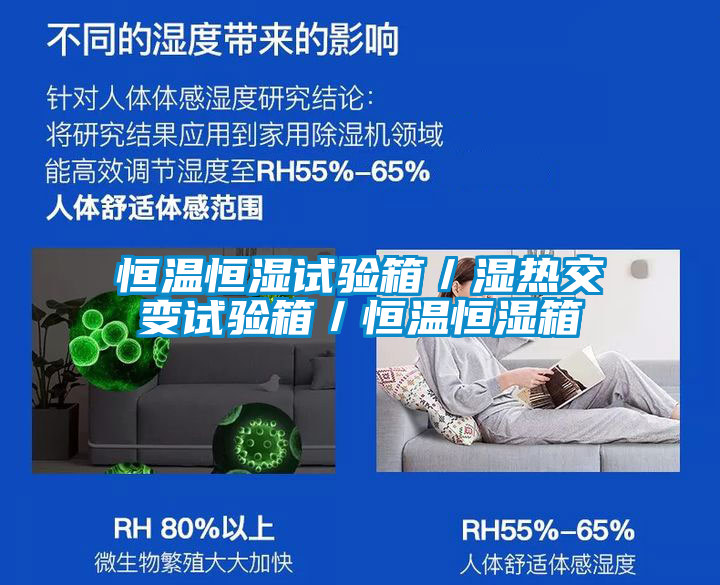 恒溫恒濕試驗箱/濕熱交變試驗箱/恒溫恒濕箱
