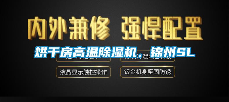 烘干房高溫除濕機,錦州SL