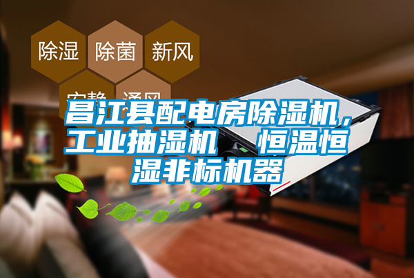 昌江縣配電房除濕機,工業抽濕機 恒溫恒濕非標機器