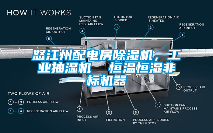怒江州配電房除濕機,工業抽濕機 恒溫恒濕非標機器