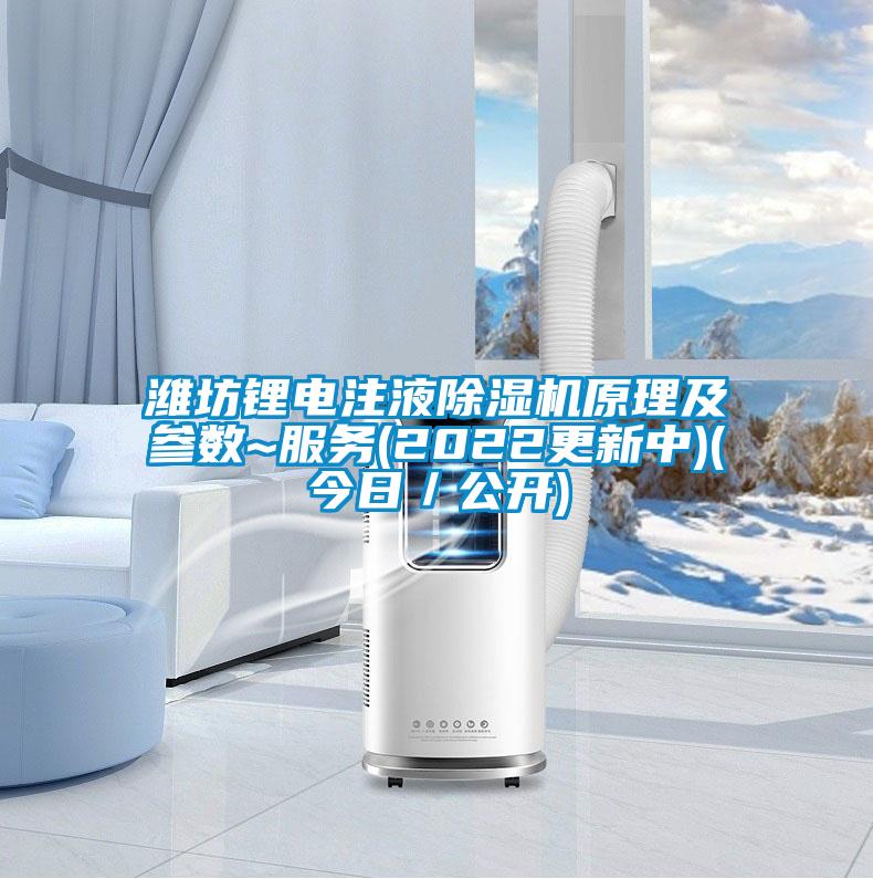 濰坊鋰電注液除濕機原理及參數~服務(2022更新中)(今日/公開)
