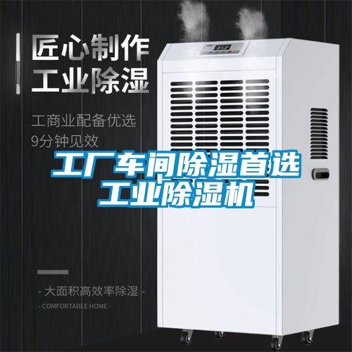 工廠車間除濕首選工業除濕機