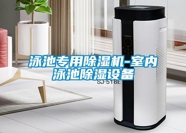 泳池專用除濕機-室內泳池除濕設備