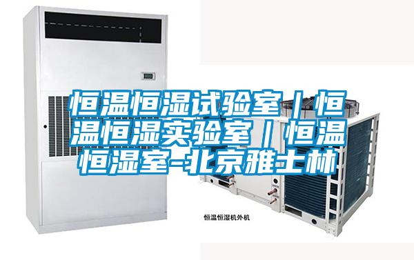 恒溫恒濕試驗(yàn)室|恒溫恒濕實(shí)驗(yàn)室|恒溫恒濕室-北京雅士林