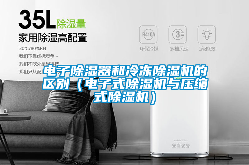 電子除濕器和冷凍除濕機的區別(電子式除濕機與壓縮式除濕機)
