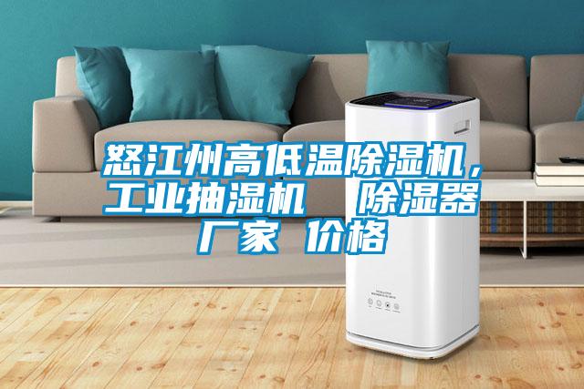 怒江州高低溫除濕機,工業抽濕機 除濕器廠家 價格