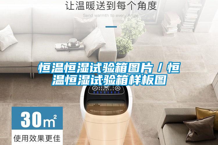 恒溫恒濕試驗(yàn)箱圖片/恒溫恒濕試驗(yàn)箱樣板圖