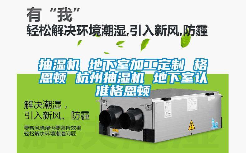 抽濕機(jī) 地下室加工定制 格恩頓 杭州抽濕機(jī) 地下室認(rèn)準(zhǔn)格恩頓