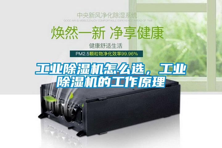 工業除濕機怎么選,工業除濕機的工作原理