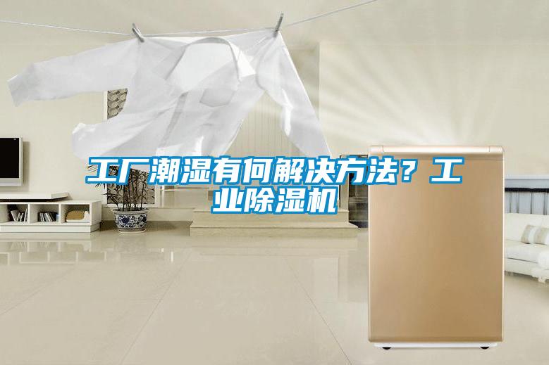 工廠潮濕有何解決方法?工業(yè)除濕機(jī)