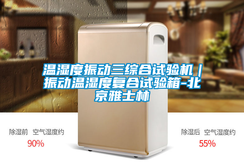 溫濕度振動三綜合試驗機|振動溫濕度復合試驗箱-北京雅士林
