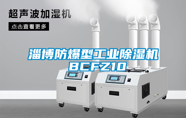 淄博防爆型工業除濕機 BCFZ10