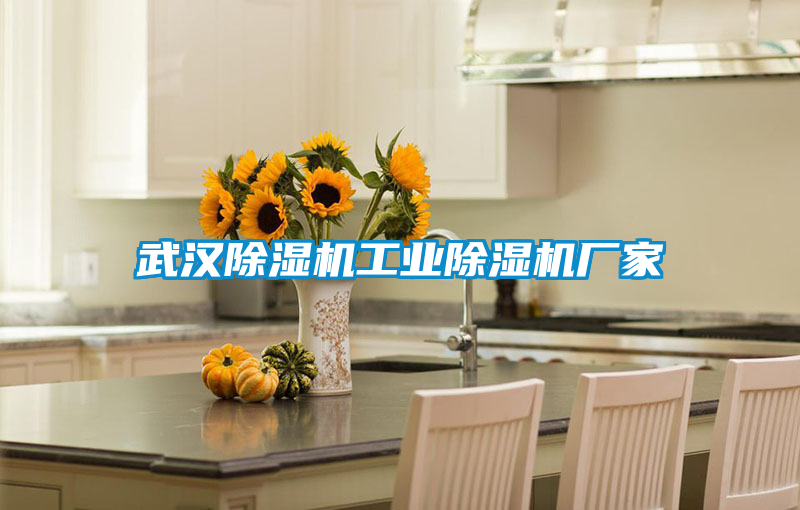 武漢除濕機工業除濕機廠家