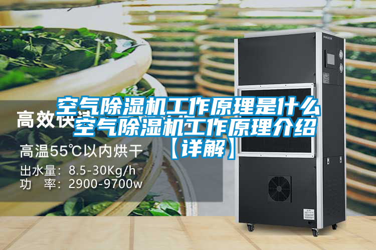 空氣除濕機工作原理是什么 空氣除濕機工作原理介紹【詳解】