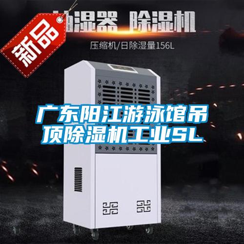 廣東陽江游泳館吊頂除濕機工業(yè)SL