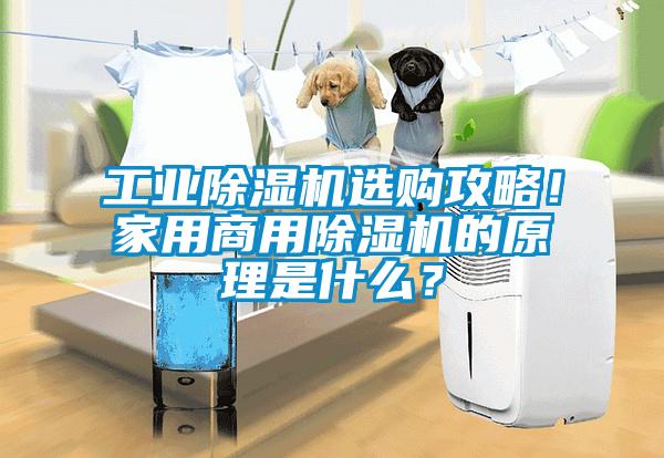 工業除濕機選購攻略!家用商用除濕機的原理是什么?