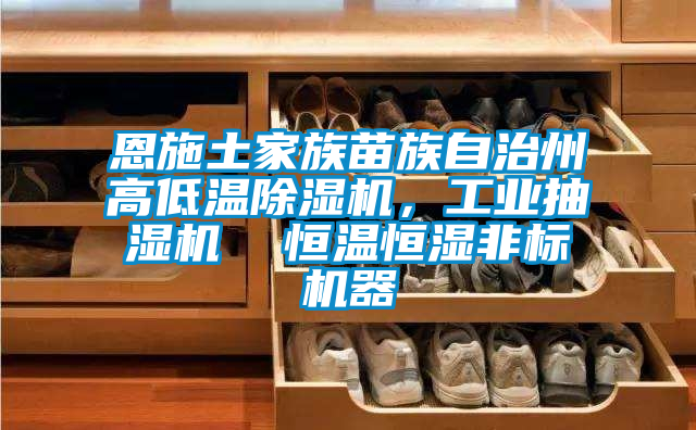 恩施土家族苗族自治州高低溫除濕機(jī)，工業(yè)抽濕機(jī)  恒溫恒濕非標(biāo)機(jī)器