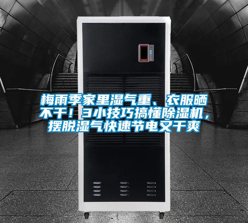 梅雨季家里濕氣重、衣服曬不干!3小技巧搞懂除濕機,擺脫濕氣快速節電又干爽
