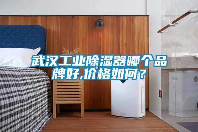 武漢工業除濕器哪個品牌好,價格如何?