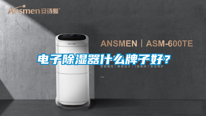 電子除濕器什么牌子好?
