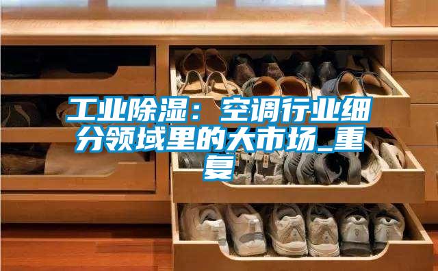 工業除濕:空調行業細分領域里的大市場_重復