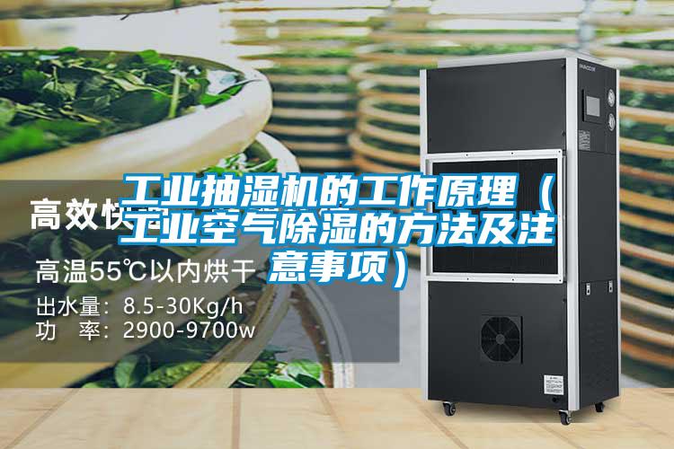 工業抽濕機的工作原理(工業空氣除濕的方法及注意事項)