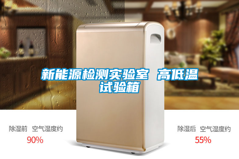 新能源檢測(cè)實(shí)驗(yàn)室 高低溫試驗(yàn)箱
