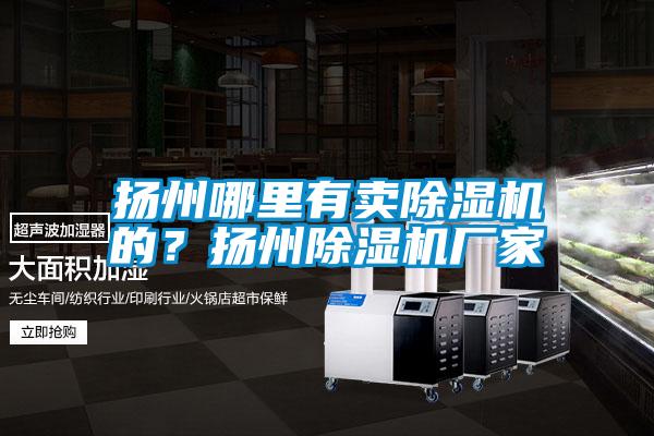 揚州哪里有賣除濕機(jī)的?揚州除濕機(jī)廠家