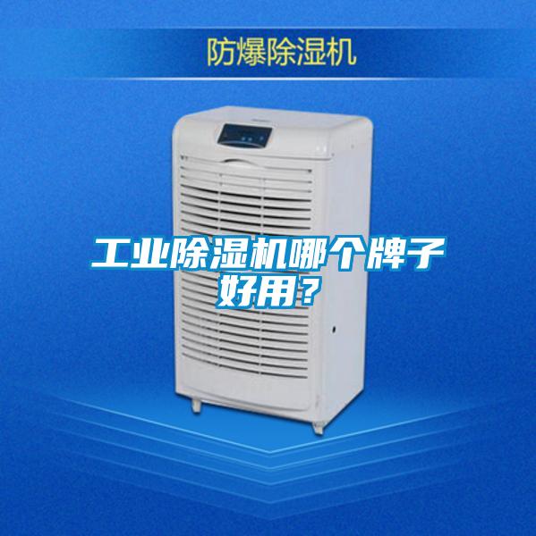工業(yè)除濕機(jī)哪個(gè)牌子好用?