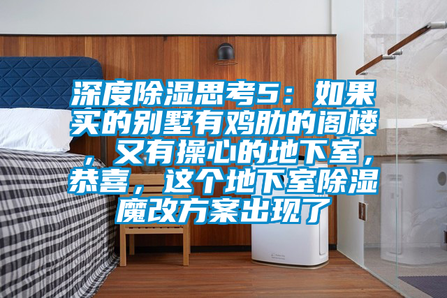 深度除濕思考5:如果買的別墅有雞肋的閣樓,又有操心的地下室,恭喜,這個地下室除濕魔改方案出現了
